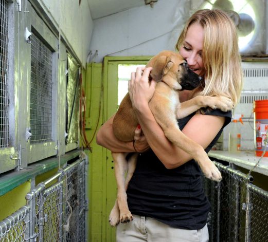 Kristan Exner is photographed with a dog at the kennel. Photo: Carol Kaliff   