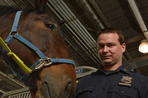 NYPD Police Officer Colin McCarty of Massapequa photographed with Fantan II, one of the horses at the Troop B Stable on Pier 76 in Manhattan. McCarty makes bridles and a variety of leather items for NYPD horses. Photo credit: Steven Sunshine