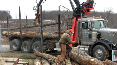 Trees that were cut for the segment of Route 219 from Meyersdale to Somerset will be used for the USS Somerset. Harold Eutsey is using a chainsaw while his son Hunter Eutsey operates the boom. Both are with Eutsey Lumber of Scottdale. (Submitted photo / April 16, 2013)